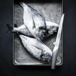 Global G G-21 Boning Knife 16cm Blade -Kyocera Knives Shop global g g 21 boning knife 16cm blade p71 12257 image