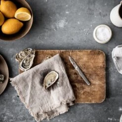 Global GSF GSF-18 Shellfish Knife 5cm 12 Global GSF GSF-18 Shellfish Knife 5cm -Kyocera Knives Shop global gsf gsf 18 shellfish knife 5cm p545 12367 image